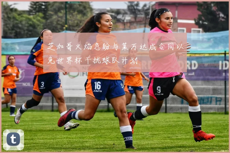 芝加哥火焰急盼与莱万达成合同以免世界杯干扰球队计划