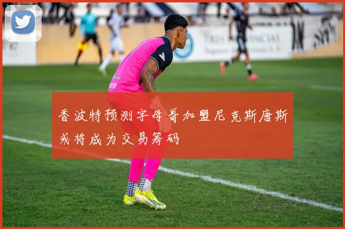 香波特预测字母哥加盟尼克斯唐斯或将成为交易筹码