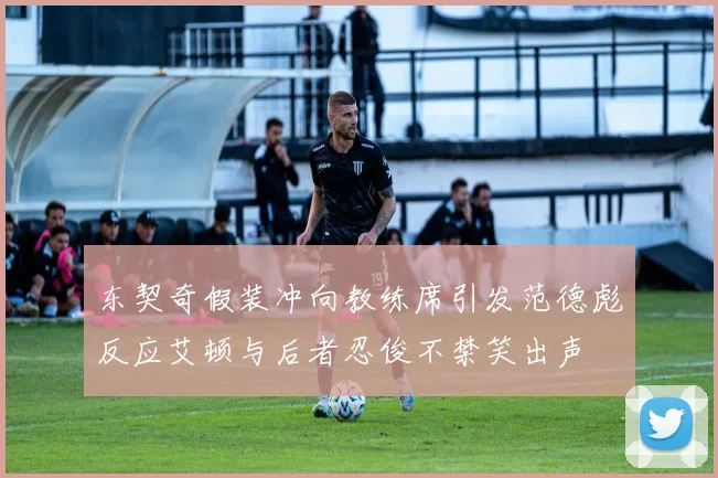 东契奇假装冲向教练席引发范德彪反应艾顿与后者忍俊不禁笑出声