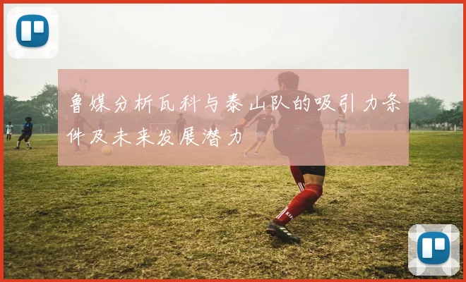 鲁媒分析瓦科与泰山队的吸引力条件及未来发展潜力