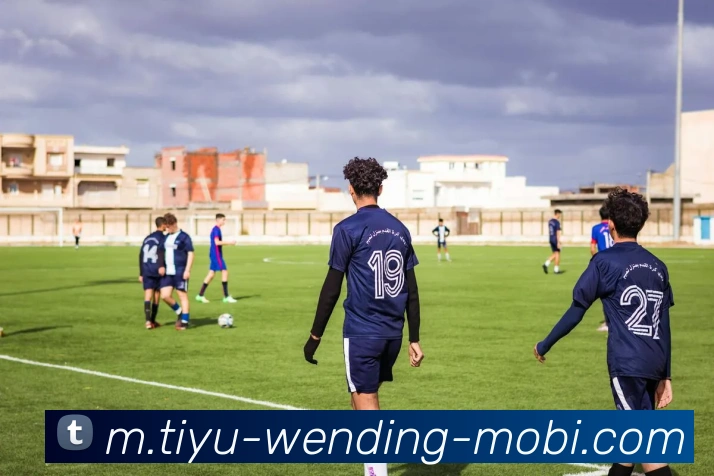 问鼎娱乐平台生态图